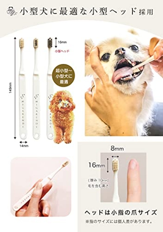 柔らかい天然毛歯ブラシ 4