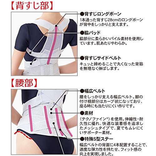 お医者さんの腰から正す姿勢ベルト 3