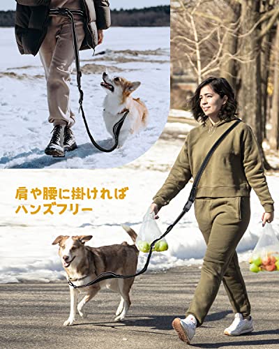犬用リード 4