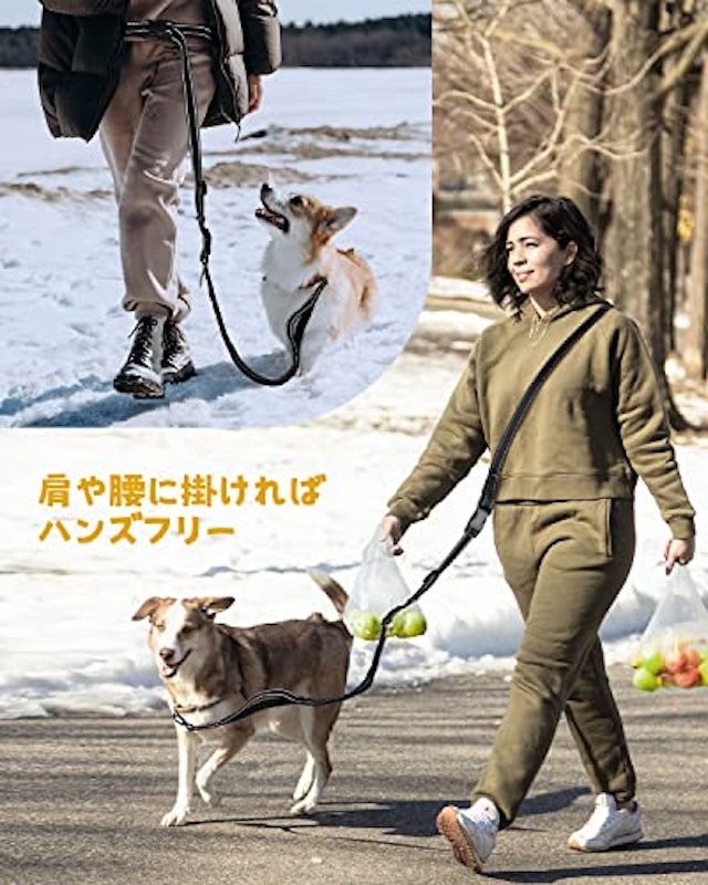 犬用リード 4