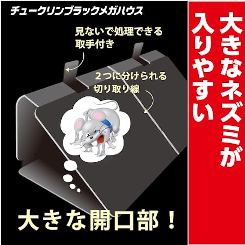 チュークリンブラック メガハウス 2