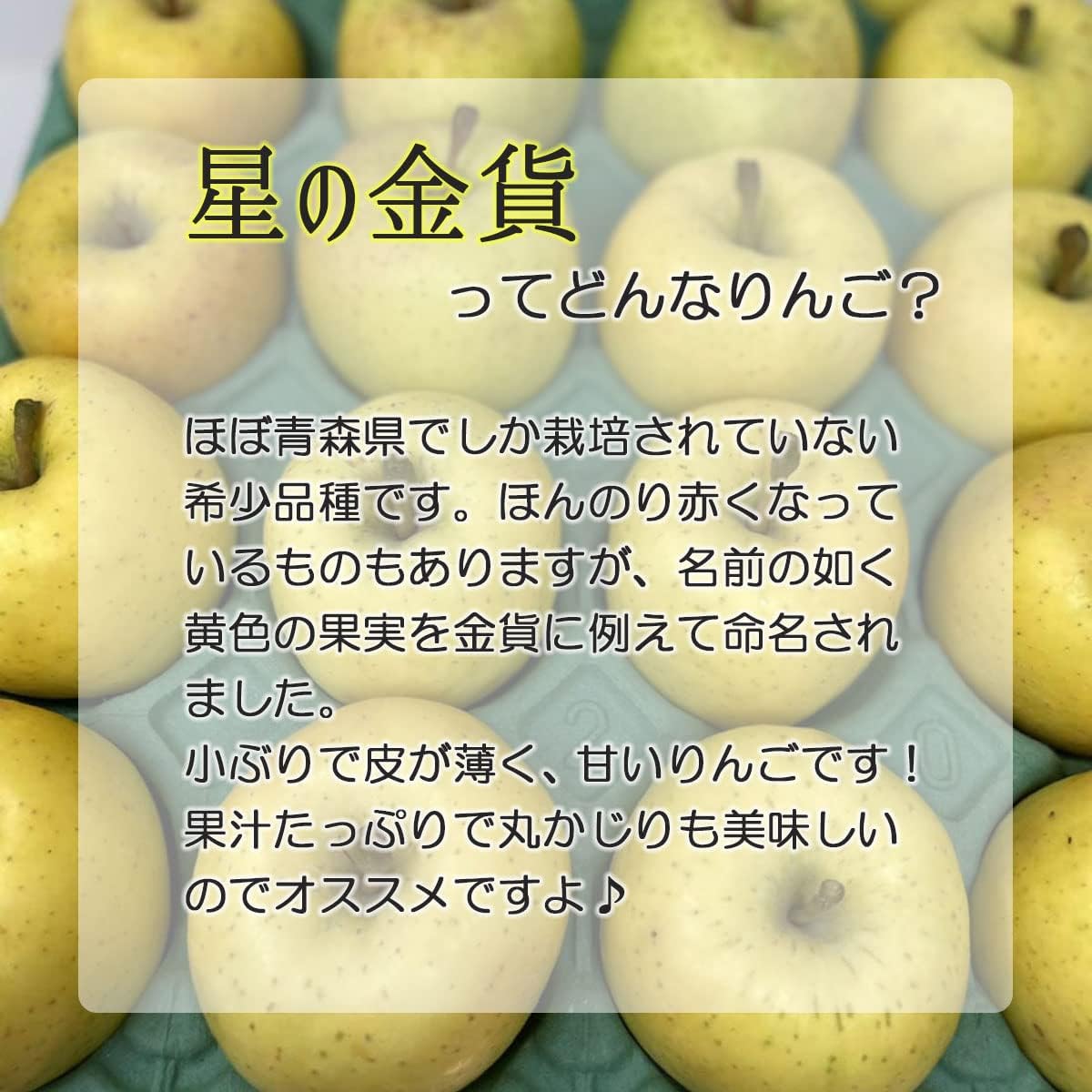 星の金貨 2