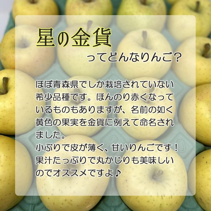 星の金貨 2