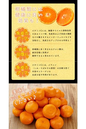 和歌山県産 みかん 3