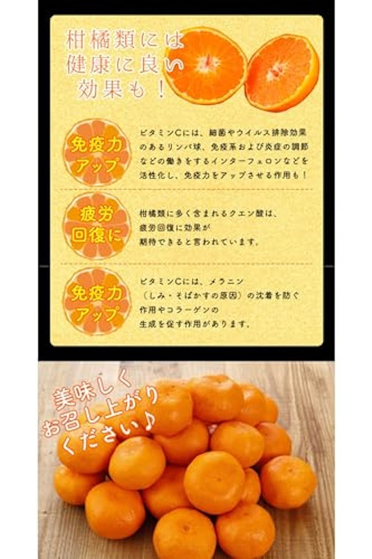 和歌山県産 みかん 3