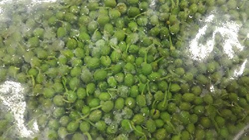 21年 山椒のおすすめ人気ランキング15選 Mybest