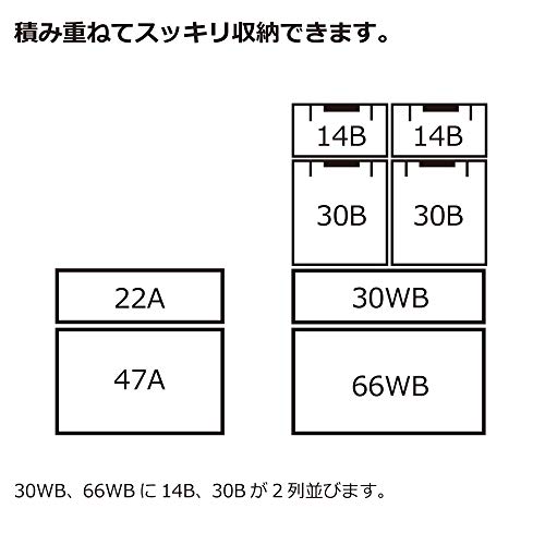 ラッチコンテナ 6