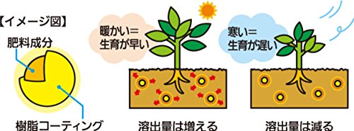 おいしい野菜・くだものをつくりたい 2