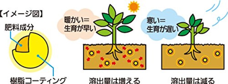 おいしい野菜・くだものをつくりたい 2