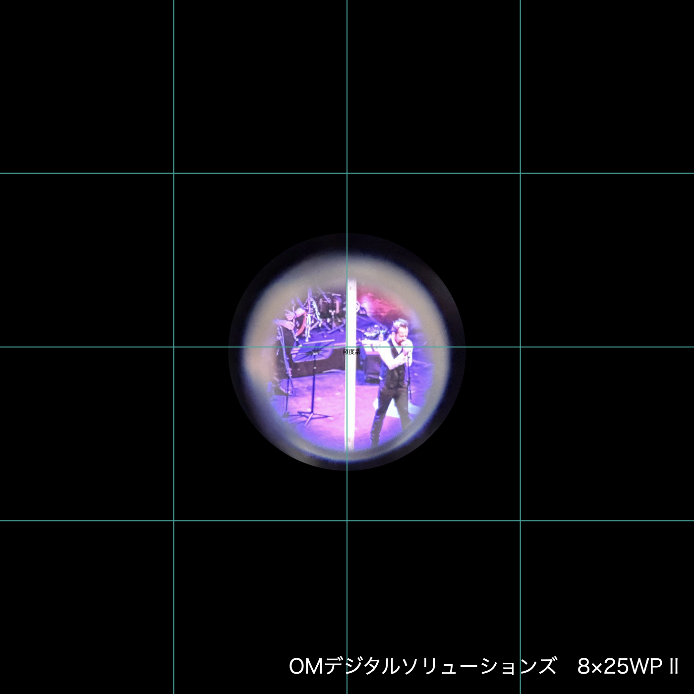 8×25 WP II 7
