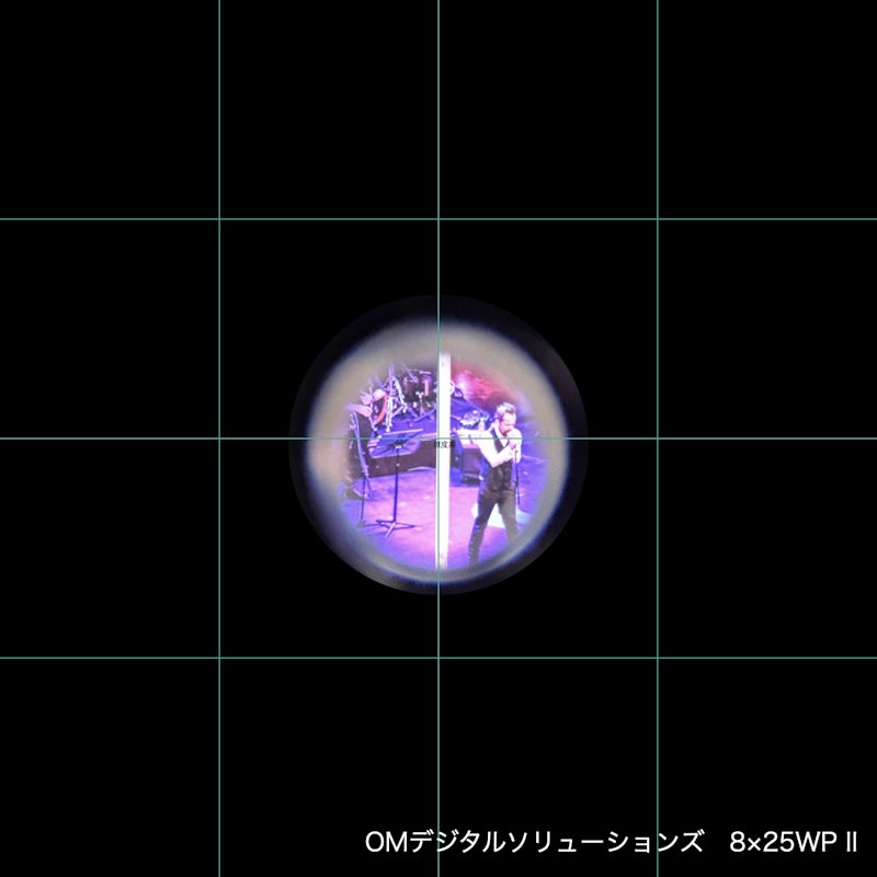 8×25 WP II 7