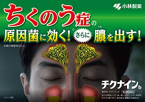 チクナインb 6