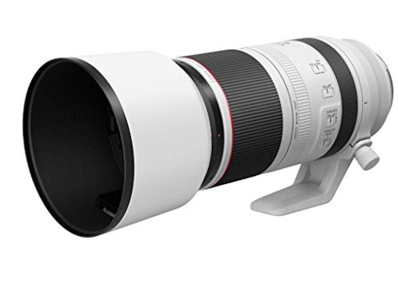 RF100-500mm F4.5-7.1 L IS USM 4