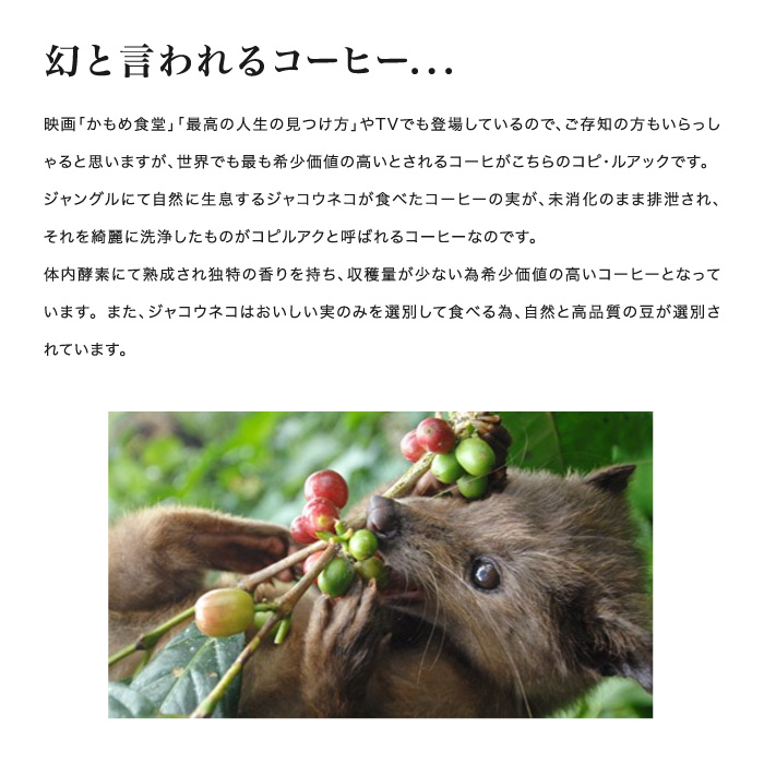コピ・ルアック 3