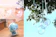 SSORA プラスチックボール 1