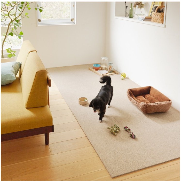 21年 犬用タイルカーペットのおすすめ人気ランキング10選 Mybest