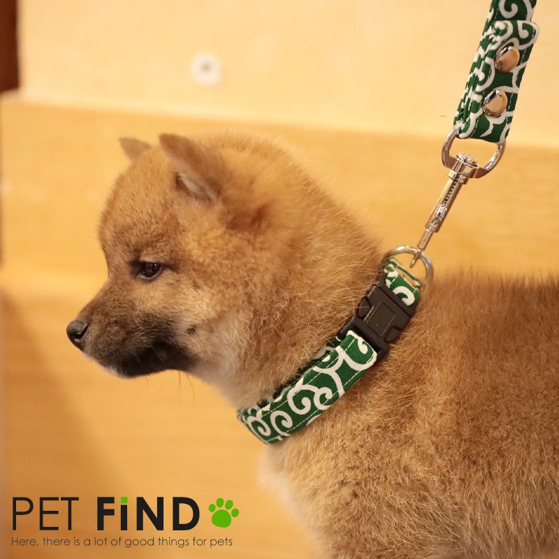 唐草模様犬用首輪 5