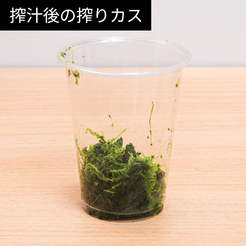 コールドプレスジューサー 14