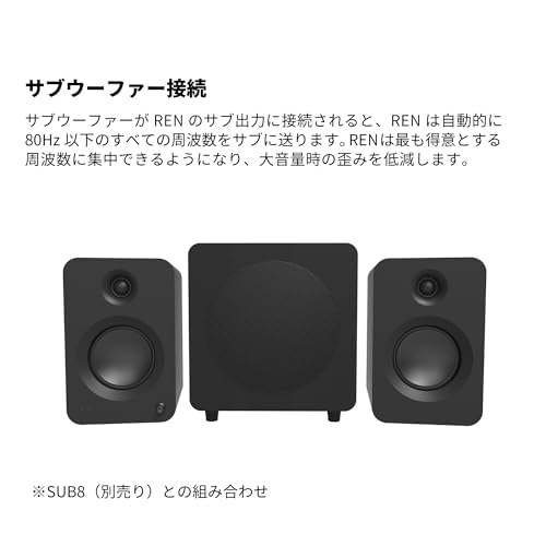 REN パワードスピーカーシステム 9