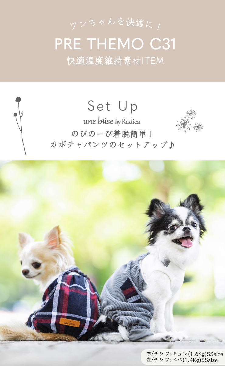 コーデュロイセットアップ 3