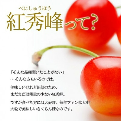 紅秀峰2L玉以上 秀品 ギフト箱入り 2