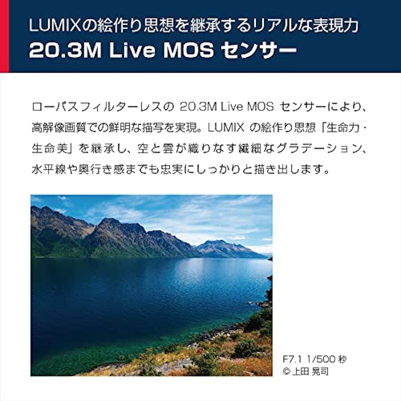 LUMIX G99D ボディ 2