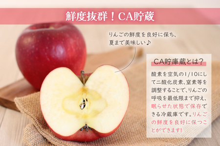 有袋ふじ 訳あり CA貯蔵 2