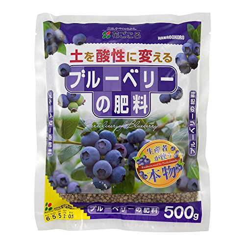 ブルーベリーの肥料 1