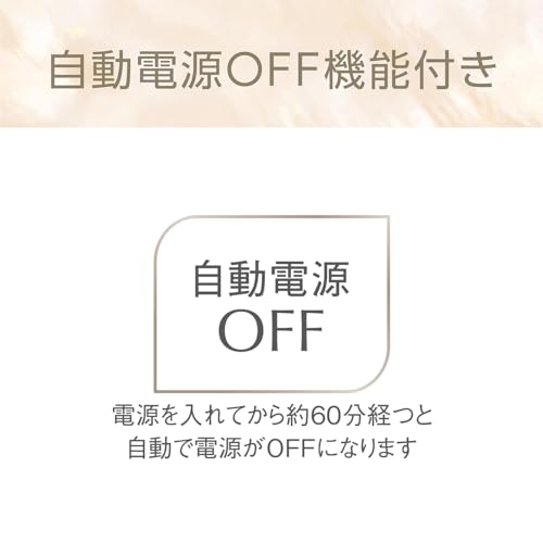 マイナスイオン2WAYアイロン 13