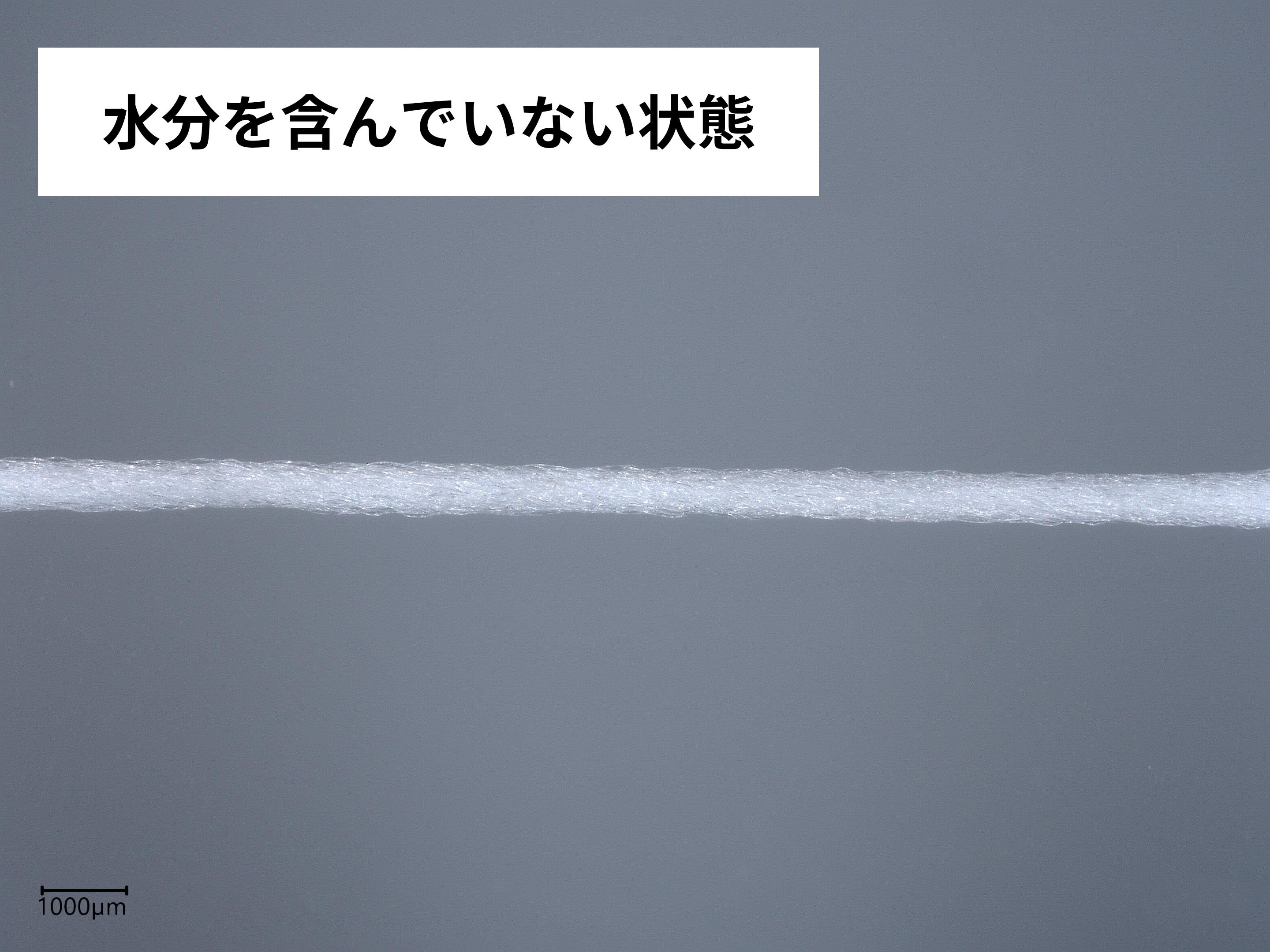 まいにちフロス 5