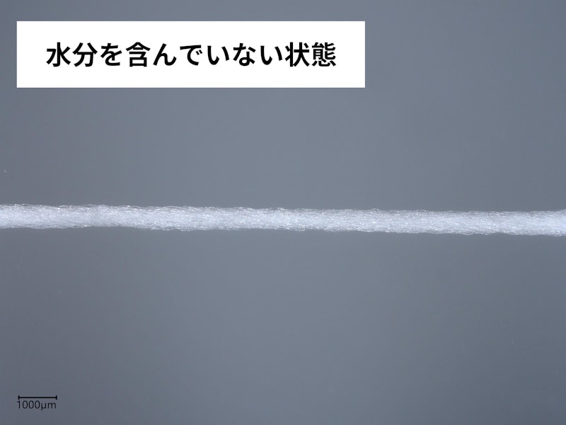 まいにちフロス 5