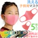 グリプトン 洗って使える立体マスク 1