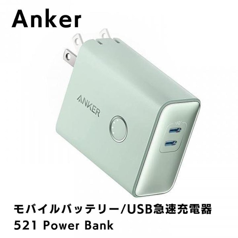 521 Power Bank 1