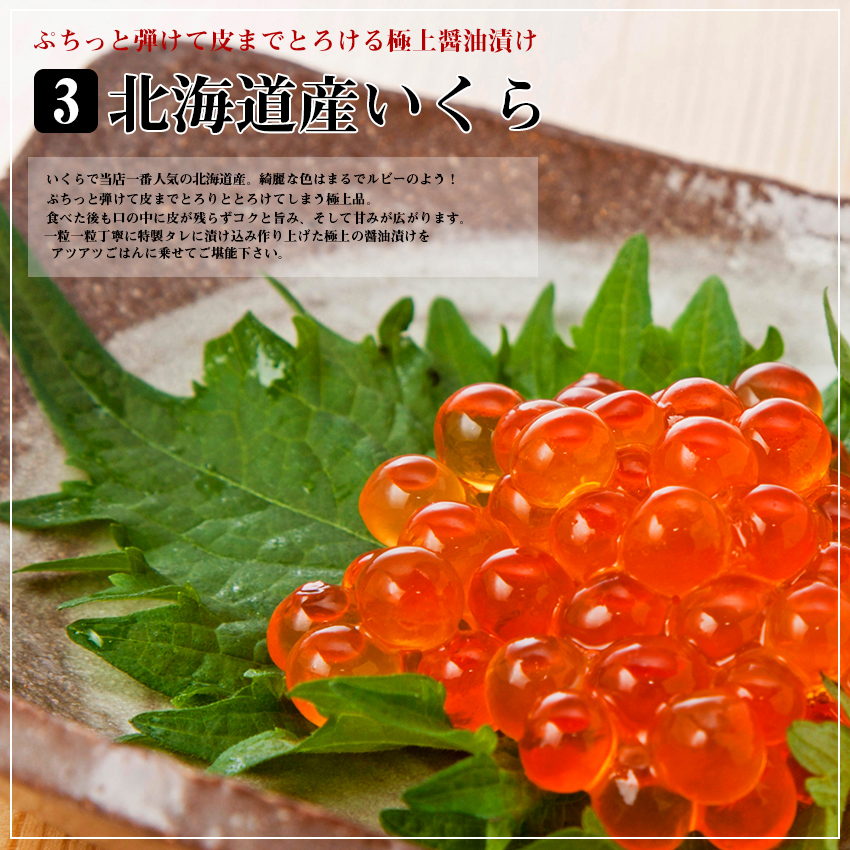 海鮮贅沢 福袋セット 8