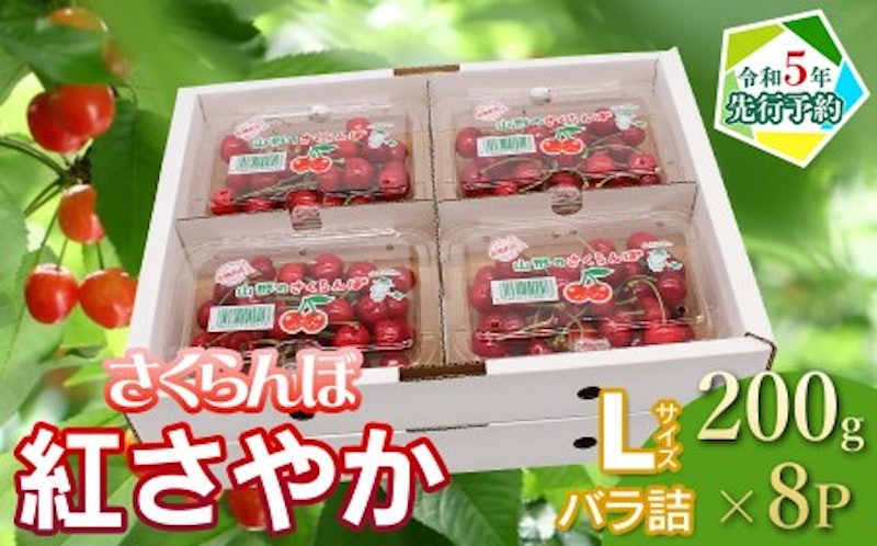 さくらんぼ 紅さやか フードパック 1