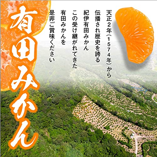 和歌山県産 有田ミカン 5