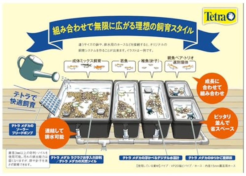 じょうろでキレイメダカ鉢 5