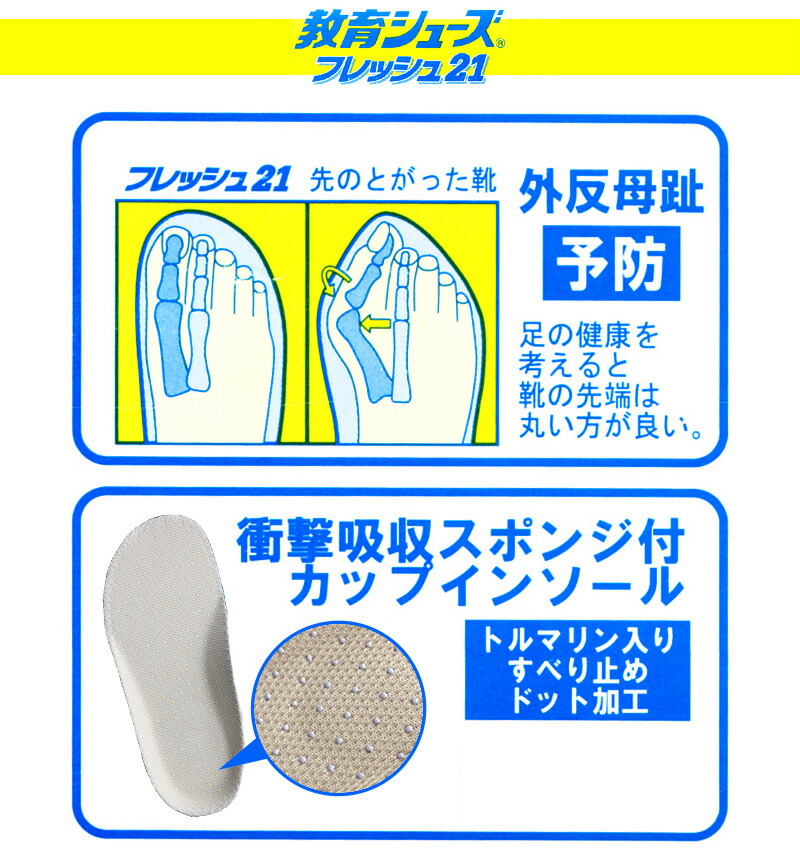 フレッシュ21 2