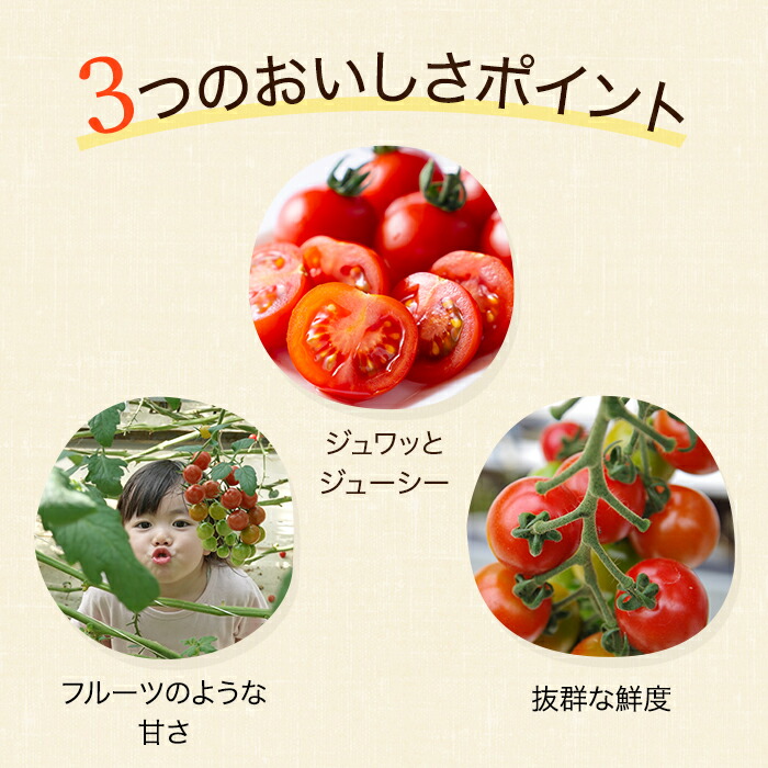 ミニトマト 4