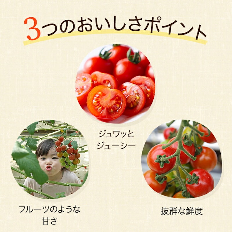 ミニトマト 4
