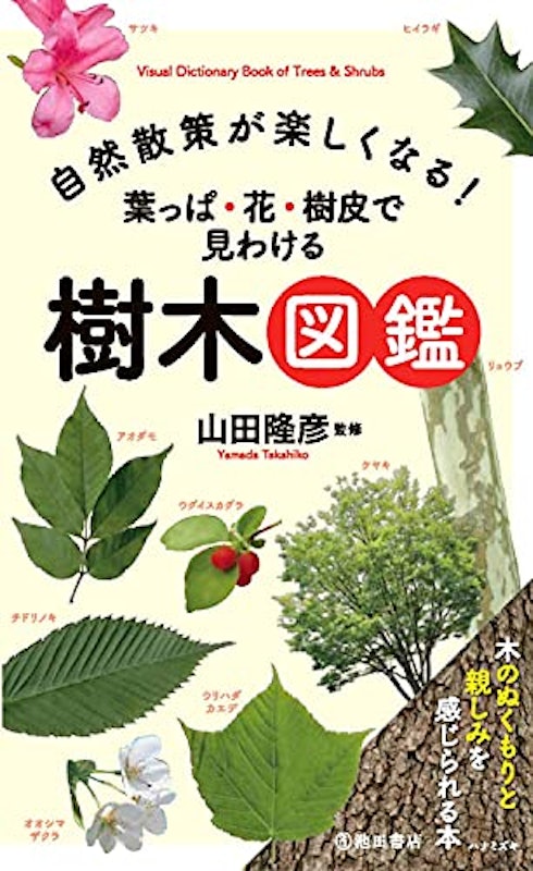 自然散策が楽しくなる! 葉っぱ花樹皮で見わける 1