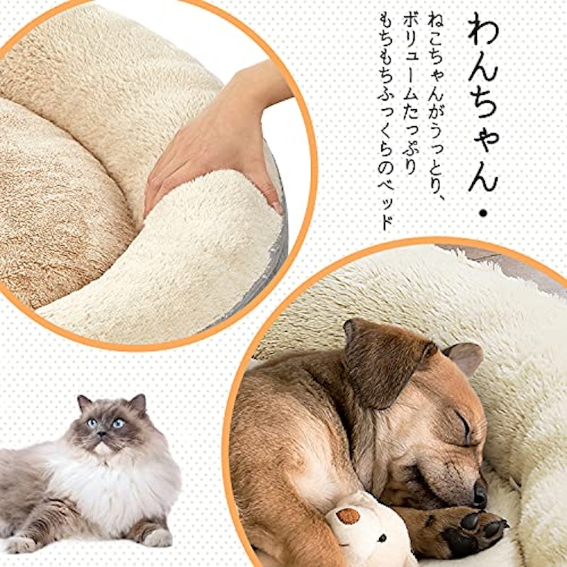 ペットクッション 3