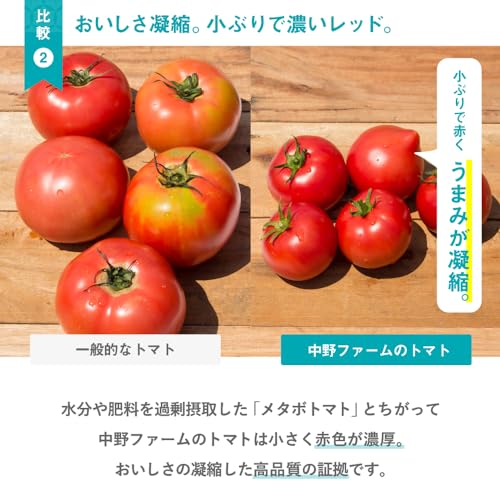 トマトジュース 6