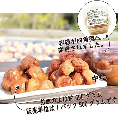 紀州南高梅 訳あり梅 3