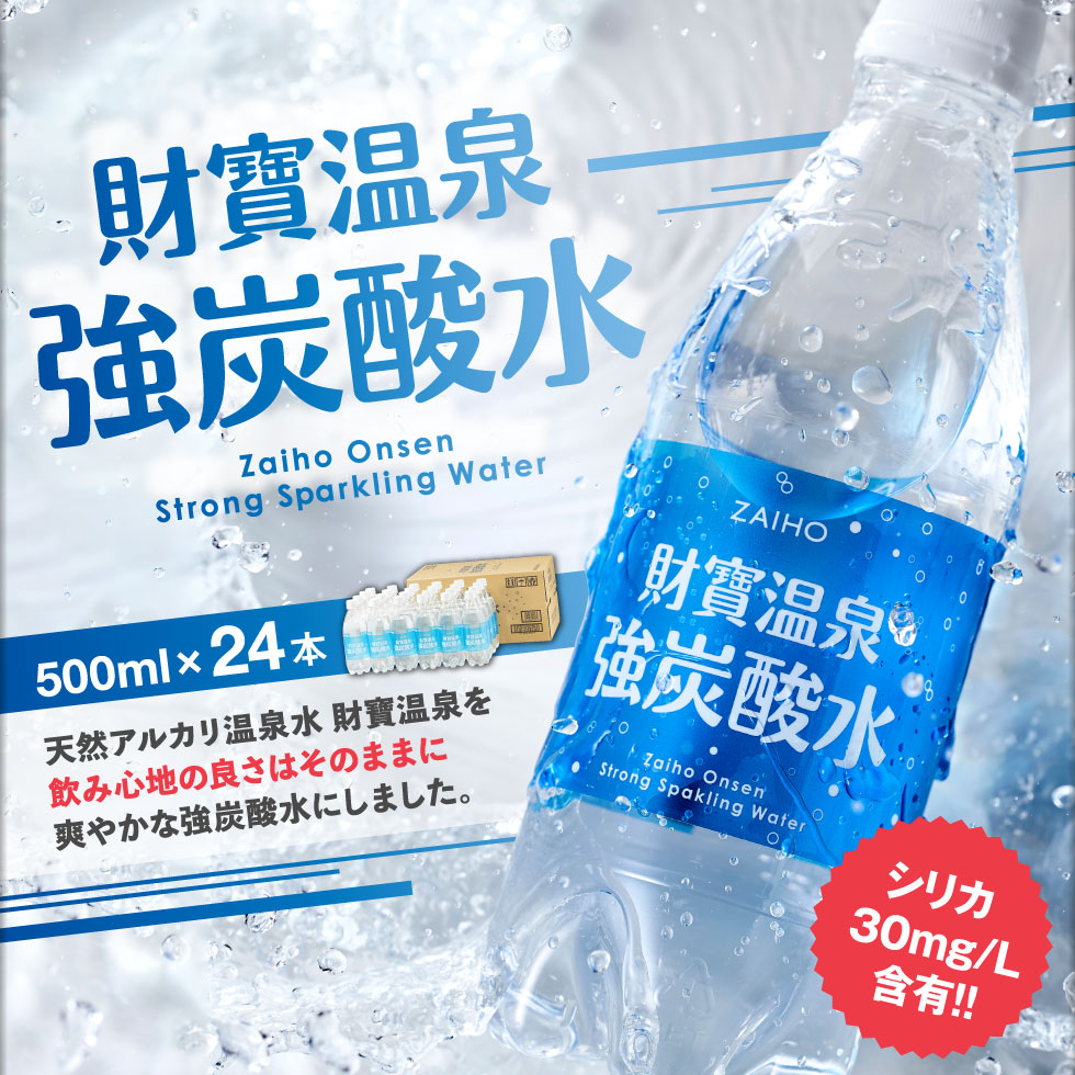  財寶温泉強炭酸水 500ml 24本 ペットボトル シリカ 温泉水 軟水 2
