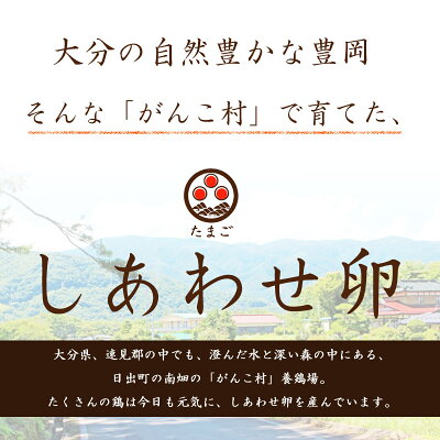 頑固 赤玉 3