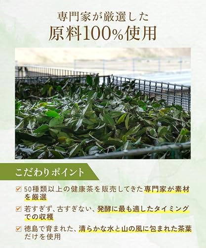 阿波晩茶  5