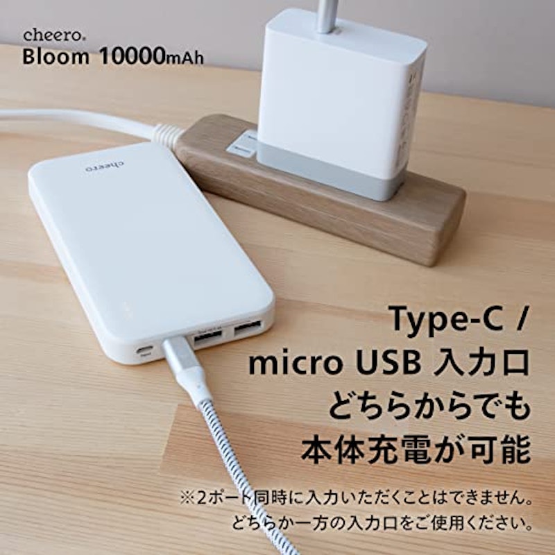 Bloom 10000mAh 4