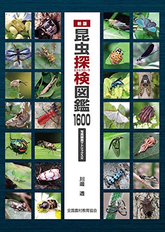 昆虫探検図鑑1600 1