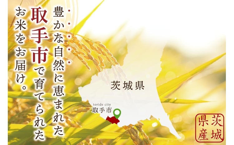 取手市産コシヒカリ 玄米 2